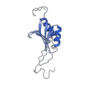 11098_6z6l_SO_v1-0
Cryo-EM structure of human CCDC124 bound to 80S ribosomes