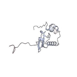 11098_6z6l_SP_v1-0
Cryo-EM structure of human CCDC124 bound to 80S ribosomes