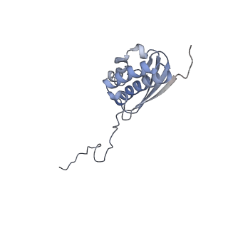 11098_6z6l_SQ_v1-0
Cryo-EM structure of human CCDC124 bound to 80S ribosomes