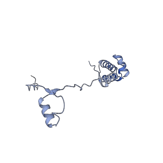 11098_6z6l_SR_v1-0
Cryo-EM structure of human CCDC124 bound to 80S ribosomes