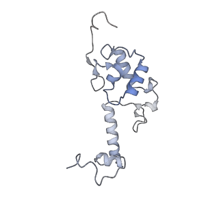 11098_6z6l_SS_v1-0
Cryo-EM structure of human CCDC124 bound to 80S ribosomes