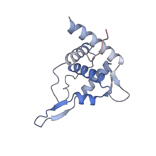 11098_6z6l_ST_v1-0
Cryo-EM structure of human CCDC124 bound to 80S ribosomes