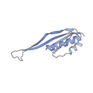 11098_6z6l_SU_v1-0
Cryo-EM structure of human CCDC124 bound to 80S ribosomes