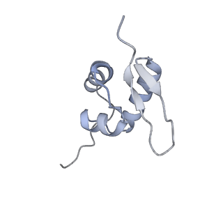 11098_6z6l_SZ_v1-0
Cryo-EM structure of human CCDC124 bound to 80S ribosomes
