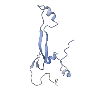 11098_6z6l_Sa_v1-0
Cryo-EM structure of human CCDC124 bound to 80S ribosomes