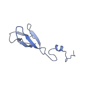 11098_6z6l_Sb_v1-0
Cryo-EM structure of human CCDC124 bound to 80S ribosomes