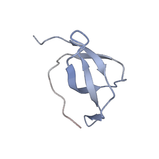 11098_6z6l_Sc_v1-0
Cryo-EM structure of human CCDC124 bound to 80S ribosomes