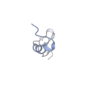 11098_6z6l_Sd_v1-0
Cryo-EM structure of human CCDC124 bound to 80S ribosomes