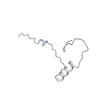 11098_6z6l_Se_v1-0
Cryo-EM structure of human CCDC124 bound to 80S ribosomes