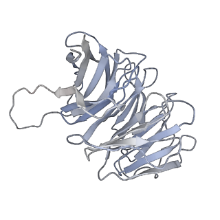 11098_6z6l_Sg_v1-0
Cryo-EM structure of human CCDC124 bound to 80S ribosomes