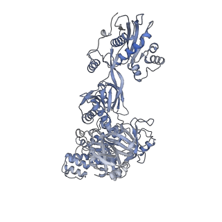 11099_6z6m_CB_v1-0
Cryo-EM structure of human 80S ribosomes bound to EBP1, eEF2 and SERBP1