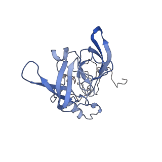 11099_6z6m_LA_v1-0
Cryo-EM structure of human 80S ribosomes bound to EBP1, eEF2 and SERBP1