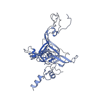 11099_6z6m_LB_v1-0
Cryo-EM structure of human 80S ribosomes bound to EBP1, eEF2 and SERBP1