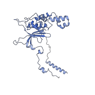 11099_6z6m_LD_v1-0
Cryo-EM structure of human 80S ribosomes bound to EBP1, eEF2 and SERBP1