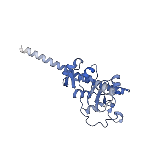 11099_6z6m_LF_v1-0
Cryo-EM structure of human 80S ribosomes bound to EBP1, eEF2 and SERBP1
