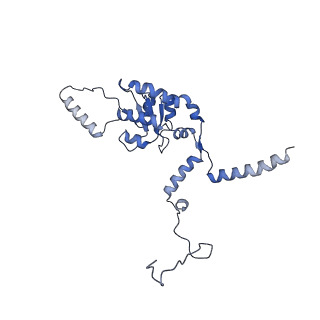 11099_6z6m_LG_v1-0
Cryo-EM structure of human 80S ribosomes bound to EBP1, eEF2 and SERBP1