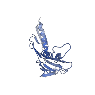 11099_6z6m_LH_v1-0
Cryo-EM structure of human 80S ribosomes bound to EBP1, eEF2 and SERBP1