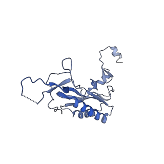 11099_6z6m_LI_v1-0
Cryo-EM structure of human 80S ribosomes bound to EBP1, eEF2 and SERBP1