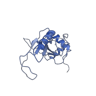 11099_6z6m_LJ_v1-0
Cryo-EM structure of human 80S ribosomes bound to EBP1, eEF2 and SERBP1