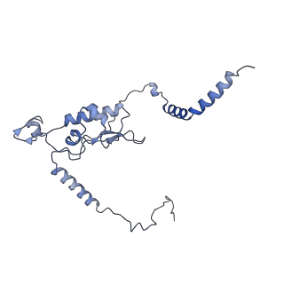 11099_6z6m_LL_v1-0
Cryo-EM structure of human 80S ribosomes bound to EBP1, eEF2 and SERBP1
