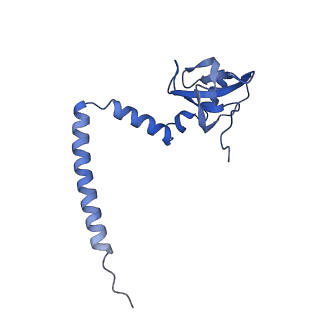 11099_6z6m_LM_v1-0
Cryo-EM structure of human 80S ribosomes bound to EBP1, eEF2 and SERBP1