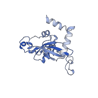 11099_6z6m_LN_v1-0
Cryo-EM structure of human 80S ribosomes bound to EBP1, eEF2 and SERBP1