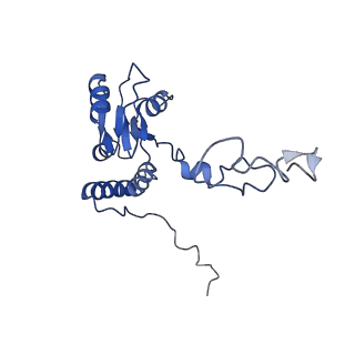 11099_6z6m_LQ_v1-0
Cryo-EM structure of human 80S ribosomes bound to EBP1, eEF2 and SERBP1