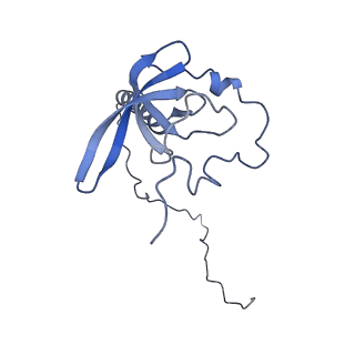 11099_6z6m_LT_v1-0
Cryo-EM structure of human 80S ribosomes bound to EBP1, eEF2 and SERBP1