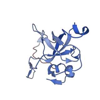 11099_6z6m_LV_v1-0
Cryo-EM structure of human 80S ribosomes bound to EBP1, eEF2 and SERBP1