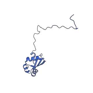 11099_6z6m_LX_v1-0
Cryo-EM structure of human 80S ribosomes bound to EBP1, eEF2 and SERBP1