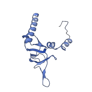 11099_6z6m_LY_v1-0
Cryo-EM structure of human 80S ribosomes bound to EBP1, eEF2 and SERBP1