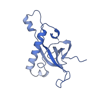 11099_6z6m_LZ_v1-0
Cryo-EM structure of human 80S ribosomes bound to EBP1, eEF2 and SERBP1