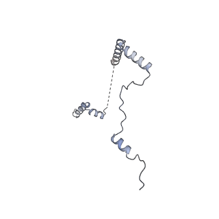 11099_6z6m_Lb_v1-0
Cryo-EM structure of human 80S ribosomes bound to EBP1, eEF2 and SERBP1