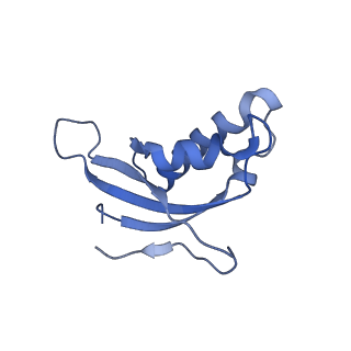11099_6z6m_Ld_v1-0
Cryo-EM structure of human 80S ribosomes bound to EBP1, eEF2 and SERBP1