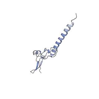11099_6z6m_Lg_v1-0
Cryo-EM structure of human 80S ribosomes bound to EBP1, eEF2 and SERBP1