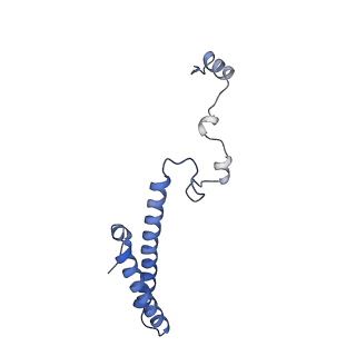 11099_6z6m_Lh_v1-0
Cryo-EM structure of human 80S ribosomes bound to EBP1, eEF2 and SERBP1