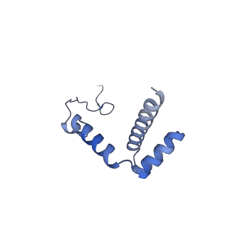 11099_6z6m_Li_v1-0
Cryo-EM structure of human 80S ribosomes bound to EBP1, eEF2 and SERBP1