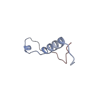 11099_6z6m_Ll_v1-0
Cryo-EM structure of human 80S ribosomes bound to EBP1, eEF2 and SERBP1
