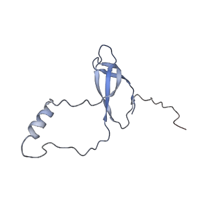 11099_6z6m_Lo_v1-0
Cryo-EM structure of human 80S ribosomes bound to EBP1, eEF2 and SERBP1