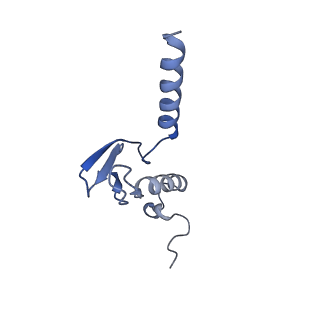 11099_6z6m_Lp_v1-0
Cryo-EM structure of human 80S ribosomes bound to EBP1, eEF2 and SERBP1