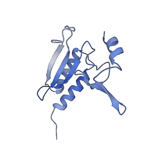 11099_6z6m_Lr_v1-0
Cryo-EM structure of human 80S ribosomes bound to EBP1, eEF2 and SERBP1