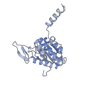 11099_6z6m_SA_v1-0
Cryo-EM structure of human 80S ribosomes bound to EBP1, eEF2 and SERBP1
