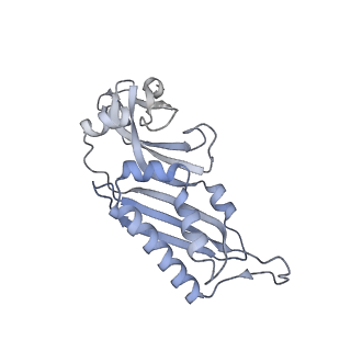 11099_6z6m_SB_v1-0
Cryo-EM structure of human 80S ribosomes bound to EBP1, eEF2 and SERBP1