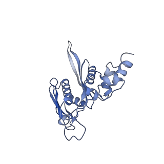 11099_6z6m_SC_v1-0
Cryo-EM structure of human 80S ribosomes bound to EBP1, eEF2 and SERBP1