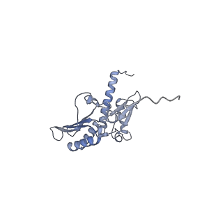 11099_6z6m_SD_v1-0
Cryo-EM structure of human 80S ribosomes bound to EBP1, eEF2 and SERBP1