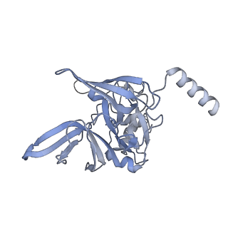 11099_6z6m_SE_v1-0
Cryo-EM structure of human 80S ribosomes bound to EBP1, eEF2 and SERBP1
