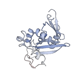 11099_6z6m_SH_v1-0
Cryo-EM structure of human 80S ribosomes bound to EBP1, eEF2 and SERBP1