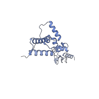 11099_6z6m_SJ_v1-0
Cryo-EM structure of human 80S ribosomes bound to EBP1, eEF2 and SERBP1