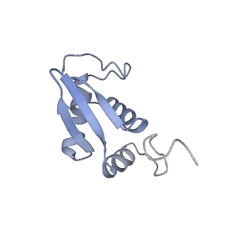 11099_6z6m_SK_v1-0
Cryo-EM structure of human 80S ribosomes bound to EBP1, eEF2 and SERBP1