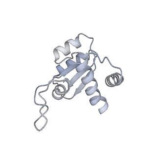 11099_6z6m_SM_v1-0
Cryo-EM structure of human 80S ribosomes bound to EBP1, eEF2 and SERBP1